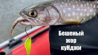 Кунджи этой весны.4K