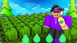 I Built A HUGE FLOATING EMERALD Farm In Roblox Bedwars!