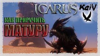 Icarus. Как приручить Матуру/ Matura Taming