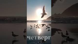 Аффирмации Четверг  #аффирмации  на Каждый День Недели Всемогущая Сила Слова #аффирмациинакаждыйдень