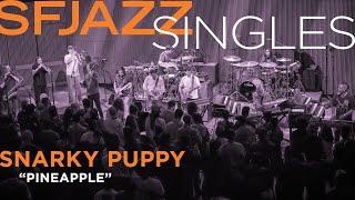 Snarky Puppy perform "Pineapple"