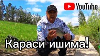 Рыбалка на донку.Карась в июне 2024г. fideer Fishing