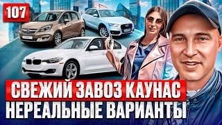 Много Вольво и не только! Автоподбор Каунас 107 выпуск