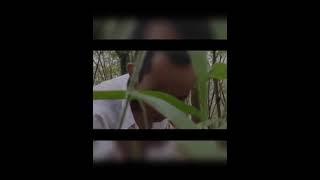 anak SMA mesum di hutan #viral #shorts #short  #shortvideo #gancet #viralvideo #viralshorts