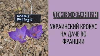 осенние выходные на даче во Франции | жара в конце октября