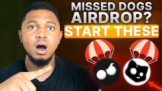 START CATS and Moonberg AIRDROP NOW: Last Chance To Make Money From This Airdrops