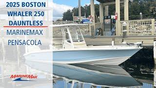 Explore the 2025 Boston Whaler 250 Dauntless: A Next-Gen Adventure Boat