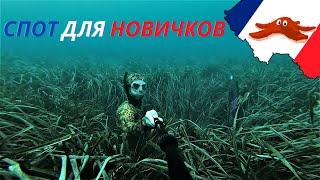 Самая большая морская звезда какую находил. Ныряем под разваленный форт во Франции. Фридайвинг