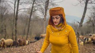 IRAN Nomadic Life | Explore the Alborz Mountains and Village Life