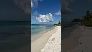 Caribbean Sea #dreamspuntacana #atlanticocean #caribbean #pinkflamingos #palm