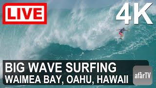  Live in 4K:   XL Wave Forecast = Big Wave Surfing at Historic Waimea Bay, North Shore of Oahu