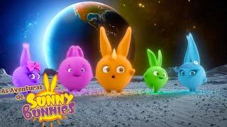 EXPLORANDO A LUA | As Aventuras de Sunny Bunnies | Desenhos Animados Infantis