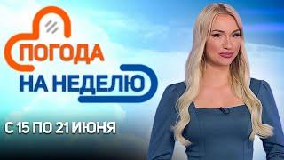 Осадки, грозы и холод! | Погода в Беларуси с 15 по 21 июня | Плюс-минус