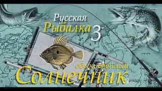 Русская рыбалка 3 99 Солнечник обыкновенный