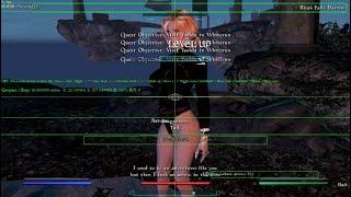 Skyrim, Play Your Way: Setting up the Mod Less Intrusive HUD Skyrim SE