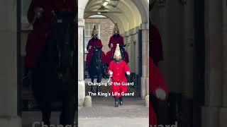 The King’s Life Guard #highlights #travel #horse #london #horseguards #history #travelvlog