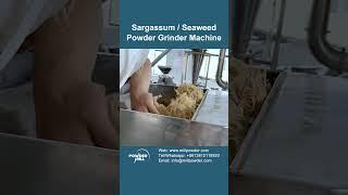 Sargassum / Seaweed Powder Grinder Machine, Seaweed Powder Making Machine, Seaweed Pulverizer - Mill