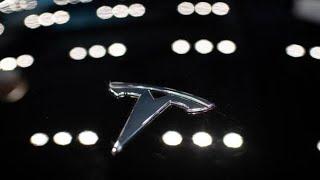Ark's Wood: Tesla Is One of the Biggest AI Opportunities