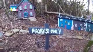 Fairy land in Lacken woods