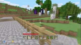 My Minecraft Mansion Tour