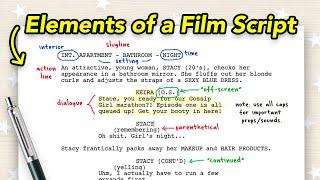 Basic Elements of a Film Script for BEGINNERS! (How To Format, Read and Write a Screenplay!)