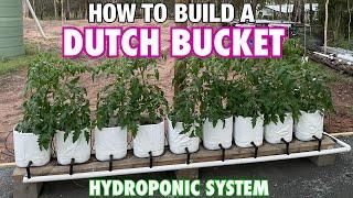 How to Build a Dutch Bucket Hydroponic System