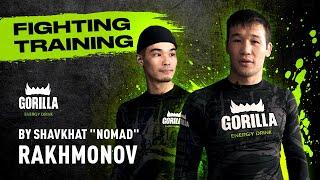 MMA training by Shavkat Rakhmonov / GORILLA FIGHTING