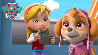 Katie dirige la Pat'Patrouille pour arrêter les chats qui aboient et bien plus encore ! - PAW Patrol