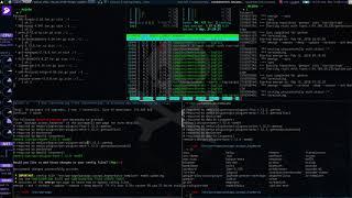 Gentoo Portage Use Flag Management