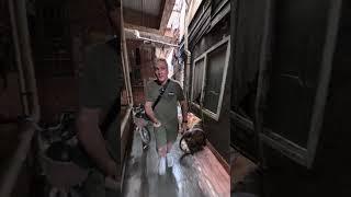 Как пройти на секретный рынок? #Китай #DenvasTV