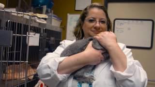 Exotic Animal Care Center - Short | Pasadena, CA