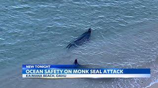 Hawaii Ocean Safety details how to avoid monk seal attacks