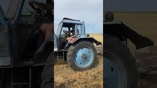 Трактор МТЗ, первый раз за рулем #трактор #агроном #поле #работа