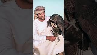 Prince Humdan Fazza 2 love Brides Dubai crowns prince #shorts