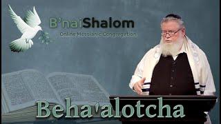 Beha’alotcha: In Your Going Up | Erev Shabbat 2025