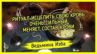 РИТУАЛ ИСЦЕЛИТЬ СВОЮ КРОВЬ. ОЧЕНЬ СИЛЬНЫЙ. МЕНЯЕТ СОСТАВ КРОВИ. ДЛЯ ВСЕХ. #ВЕДЬМИНАИЗБА ▶️ #МАГИЯ