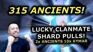 INSANE 315 ANCIENT SHARD PULLS FOR CLANMATE! RAID Shadow Legends