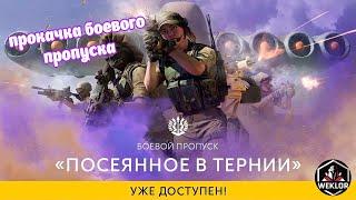 Калибр. Докачиваем Боевой Пропуск "Посеянное в Тернии", заходи друг ;)