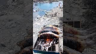 Outdoor cooking part 10 #fypyoutube #fypyoutube #lipadblogtv #food #foodblogger #outdoorcooking