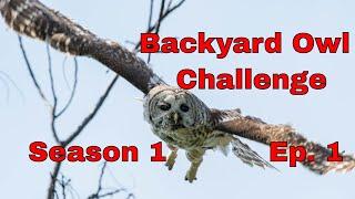 The Backyard Owl Challenge: That's Wild Season 1 Ep. 1