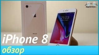 Обзор iPhone 8. Стоит ли покупать его в 2018 году?