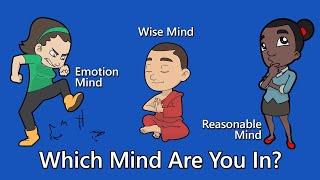 DBT Skills: Wise Mind, Emotional Mind & Reasonable Mind