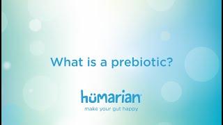 What is a prebiotic?