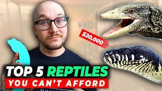 5 Reptiles NOBODY Can Afford, Get These instead!