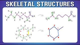 Bond Line or Skeletal Structure From Lewis or Condensed Formula in Organic Chemistry