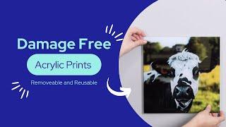 Removable and Reusable Acrylic Prints