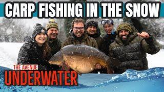  Underwater: Carp Fishing in the Snow ️ | Ali Hamidi | One More Cast