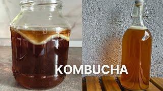 Make Your Own Kombucha at HOME with This SIMPLE Recipe!