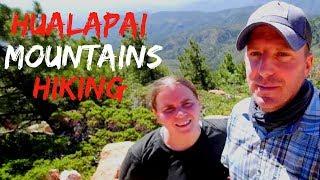 Hualapai Mountain Park - Hualapai Peak Hike - Kingman, AZ - RV Full Time