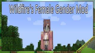 Wildfire’s Female Gender Fabric Mod 1.16.5 & How To Download and Install for Minecraft